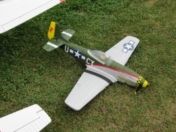 Flugtage